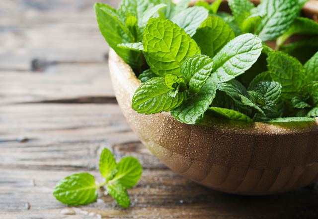 Ramazan sigarayı bırakmak isteyenler için fırsat - Resim: 1