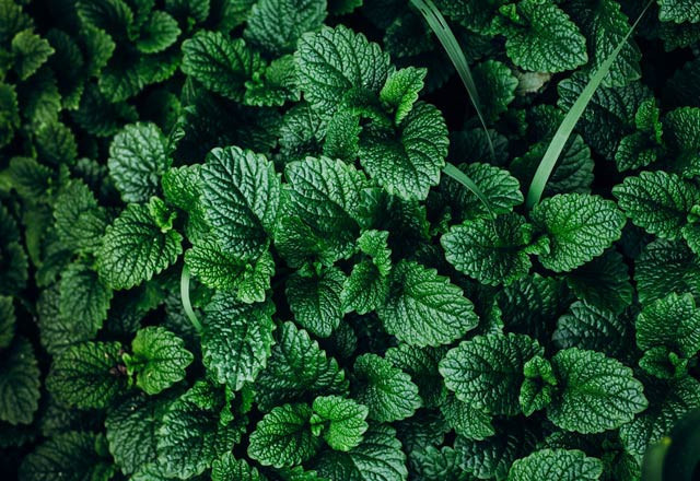 Ramazan sigarayı bırakmak isteyenler için fırsat - Resim: 3