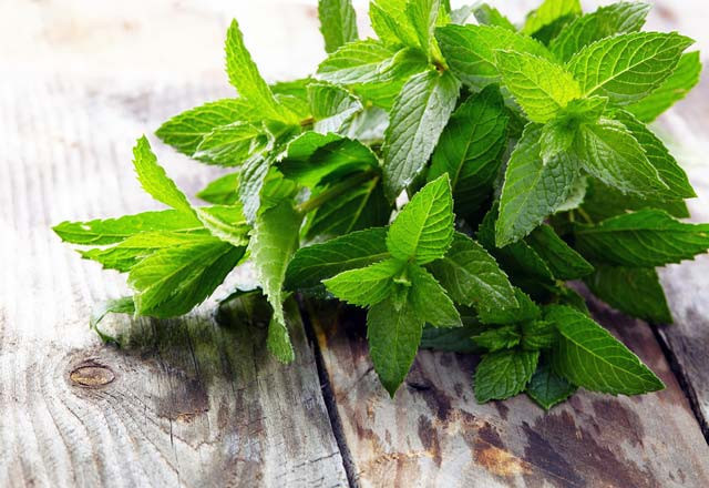 Hafızayı güçlendiren 6 muhteşem yiyecek - Resim: 1