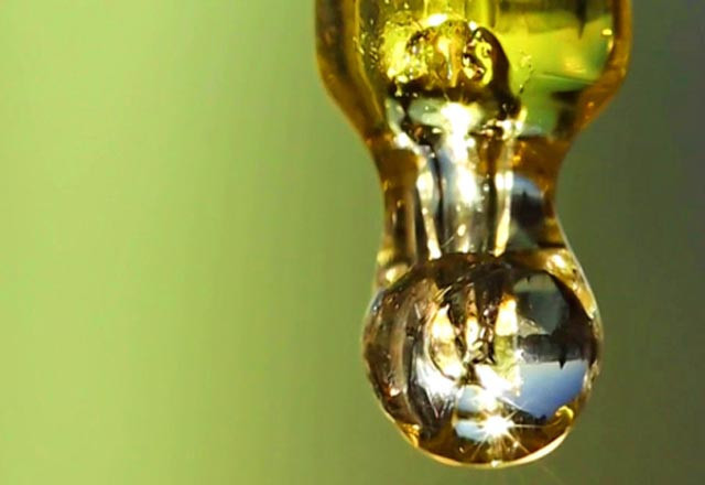 Koklayınca sigara isteğini kesiyor - Resim: 1