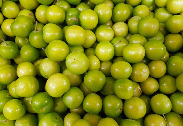 Yeşil erik yemeniz için  11 muhteşem neden - Resim: 2