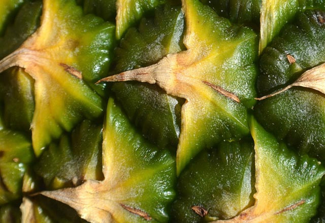 Kabuklarıyla tüketildiğinde kanserle savaşıyor - Resim: 3