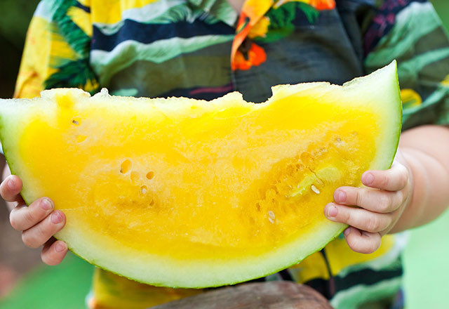 Sarı karpuzun kaynağı Anadolu faydası sayısız - Resim: 2