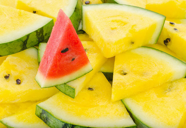 Sarı karpuzun kaynağı Anadolu faydası sayısız - Resim: 3