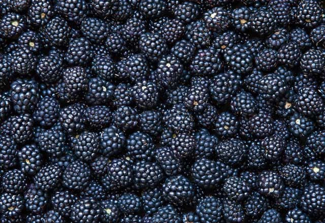 Yaz belası ishallere ne iyi gelir? - Resim: 3