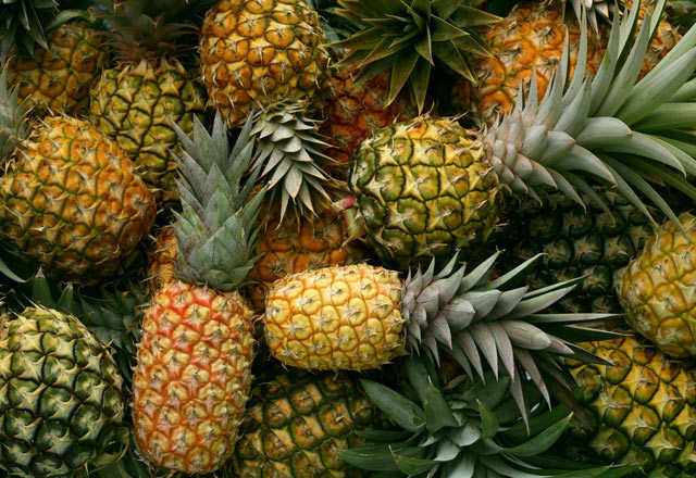 Kabuklarını sakın atmayın! - Resim: 2