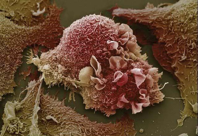 Gördüğünüz şeyin ne olduğunu öğrenince çok şaşıracaksınız! - Resim: 1