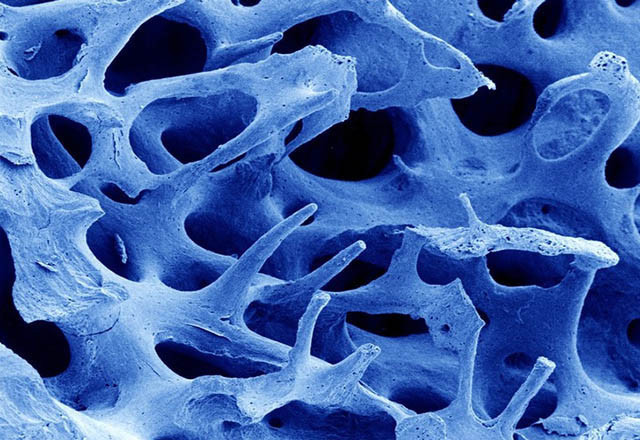 Gördüğünüz şeyin ne olduğunu öğrenince çok şaşıracaksınız! - Resim: 3