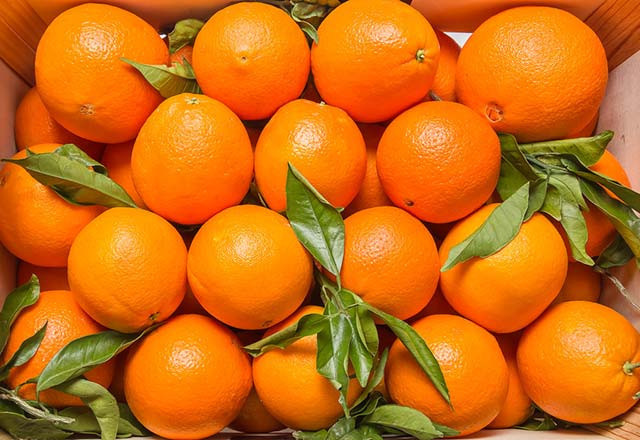 10 poşet getirene 1 kilo portakal bedava! - Resim: 2