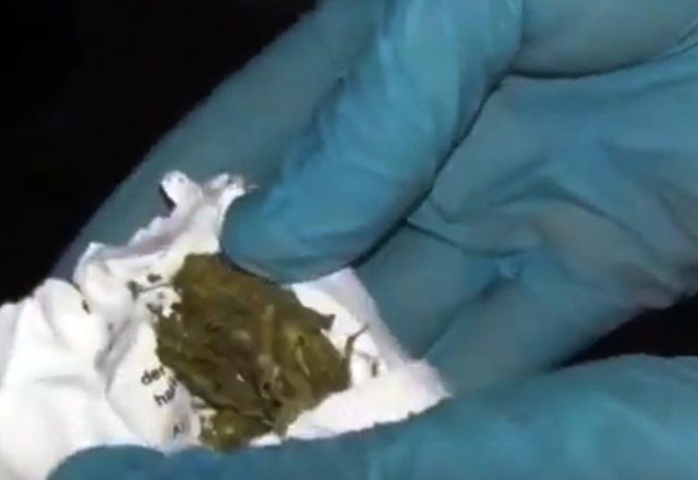 Bingöl'de dev uyuşturucu operasyonu: 250 polis katıldı 20 tutuklama - Resim: 0