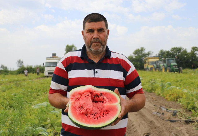 Sıcaklık düştü talep azaldı! Karpuzun fiyatı yarı yarıya indi bakın ne kadar oldu - Resim: 0