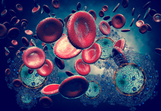 Dünyanın korktuğu hastalık - Resim: 1