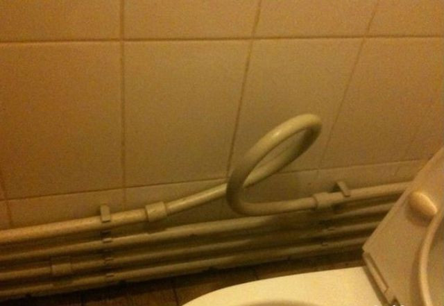 Bu kareleri ancak Rusya'da görebilirsiniz! - Resim: 3