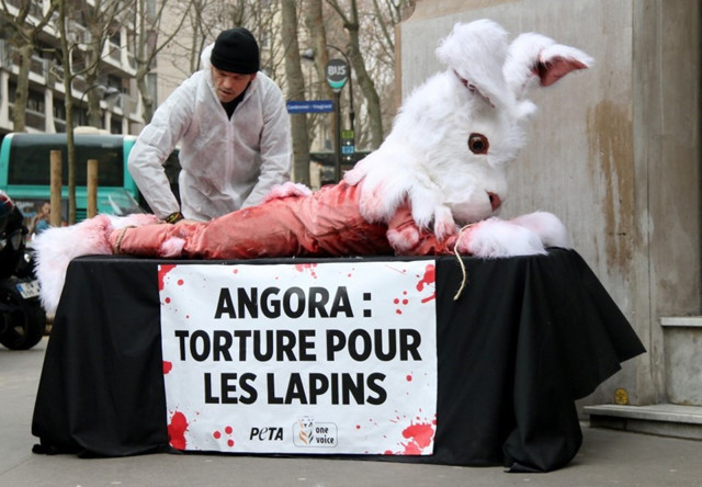 Fransa'da Ankara tavşanları için eylem düzenlendi - Resim: 1