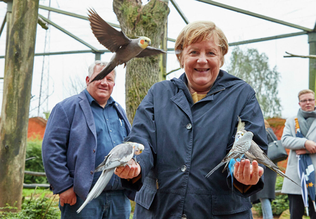 Vedaya hazırlanan Almanya Başbakanı Merkel'i kuşlar sardı - Resim: 0