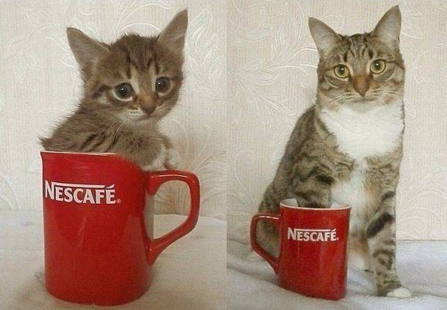 Cumartesi gününün en eğlenceli fotoğrafları - Resim: 4