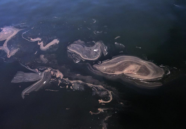 Balıkçıların kabusu olmuştu! İstanbul’da müsilaj yeniden görüldü - Resim: 1