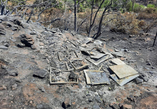 Orman yangınında, 10 yıllık emeği yandı! Binlerce arısı telef oldu! - Resim: 0