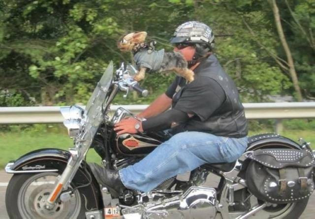 Günün en çok beğenilen 50 fotoğrafı - Resim: 3