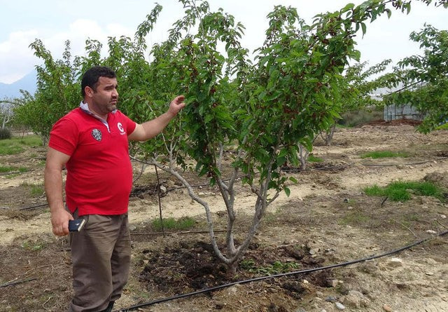 3 diplomalı adam çiftçilik yapmaya başladı ama ünlü oldu - Resim: 4