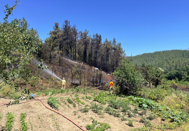 Beykoz'da ormanlık alanda yangın! Evlerin bulunduğu alana ilerlemesi panikletti - Resim: 0