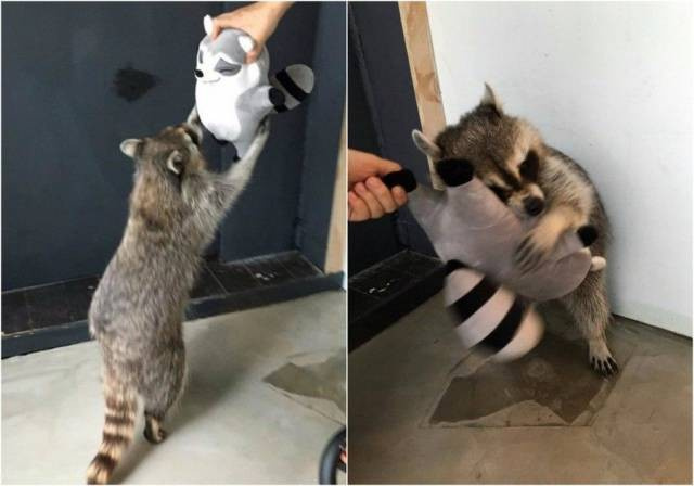 Günün en çılgın fotoğrafları - Resim: 2