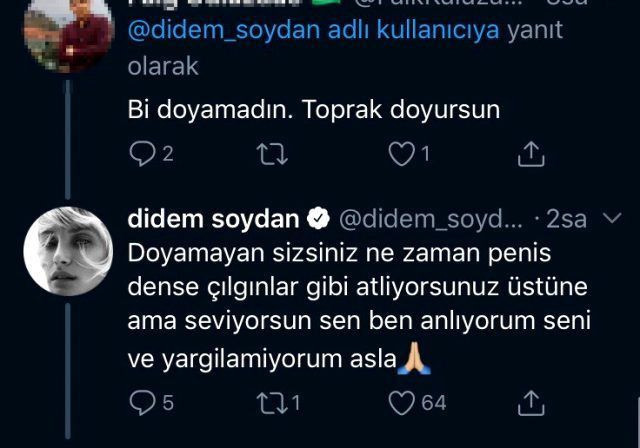 Didem Soydan'dan 'Cinsel organa doyamadın' diyen takipçisine olay cevap - Resim: 3