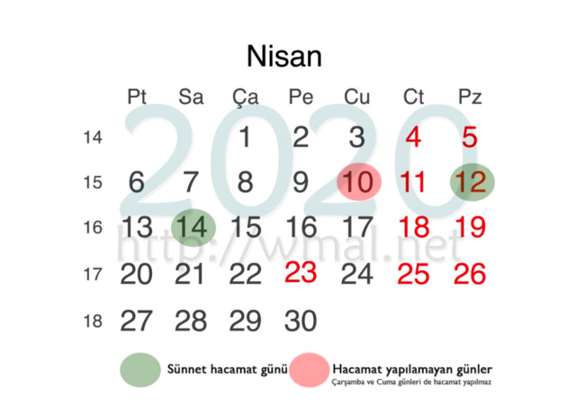 Nisan ayı hacamat takvimi hangi günler yaptırılır? - Resim: 0