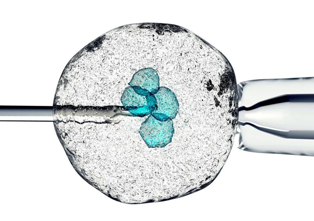 Baba Vanga’nın tüyler ürperten kehanetleri ortaya çıktı! 2023 yılında korkunç şeyler yaşanacak! - Resim: 5