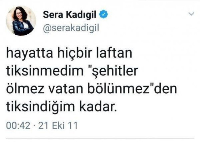 CHP İstanbul Milletvekili Saliha Sera Kadıgil Sütlü istifa etti! Türkiye İşçi Partisi'ne katılacak - Resim: 0