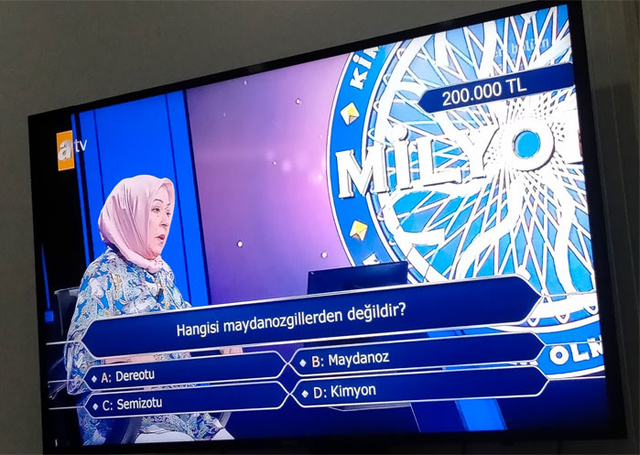 Kim Milyoner Olmak İster'e damga vurdu İlk soruda eleniyordu 200 bin lirayı açtırdı ama - Resim: 2