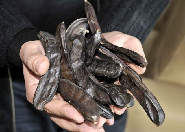 Keçiboynuzunun muhteşem faydaları - Resim: 1