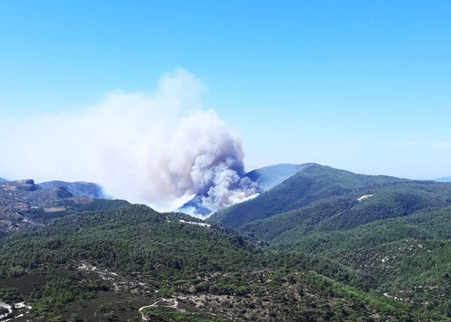 Milas ve Bornova'da orman yangını! Pakdemirli'den açıklama geldi - Resim: 0