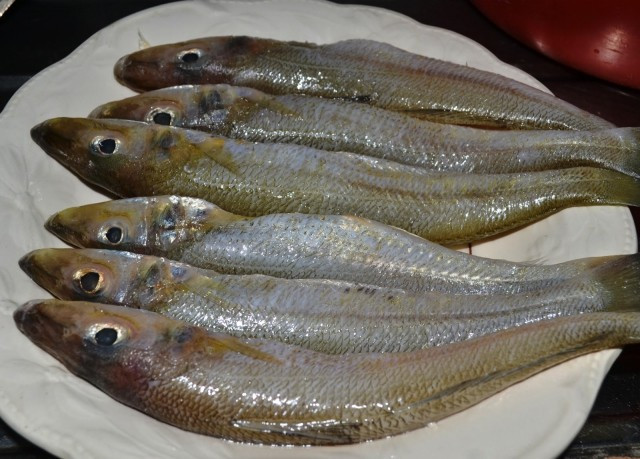Hangi ayda hangi balık yenir? - Resim: 4
