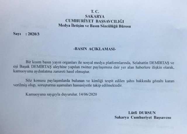 Sakarya'da Başak Demirtaş'a yönelik iğrenç sözler sarf eden şahıs yakalandı - Resim: 0