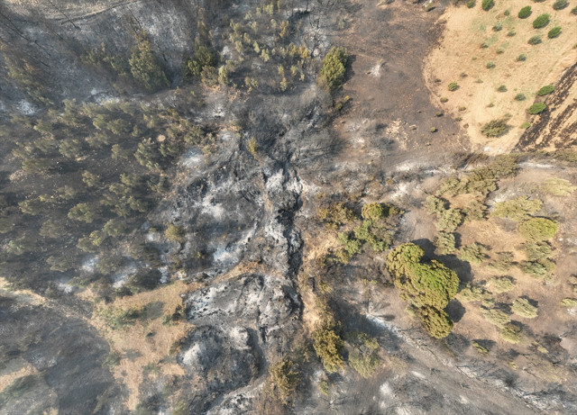 Çanakkale'de orman yangının çıkış nedeni belli oldu! Çanakkale'de bu kez tarihi yarımada tutuştu - Resim: 1