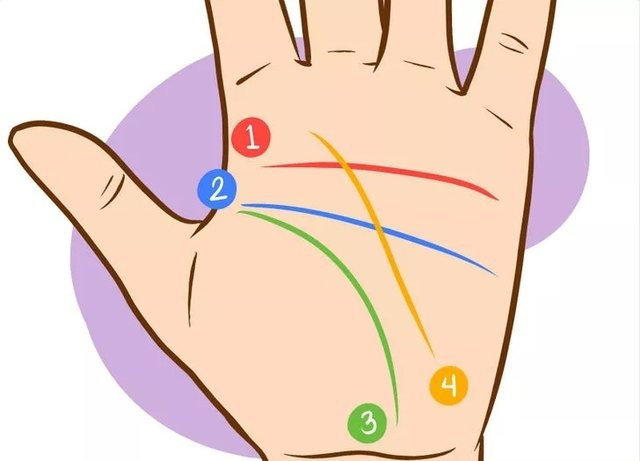 Avuç içi çizgilerine göre karakter analizi! - Resim: 1