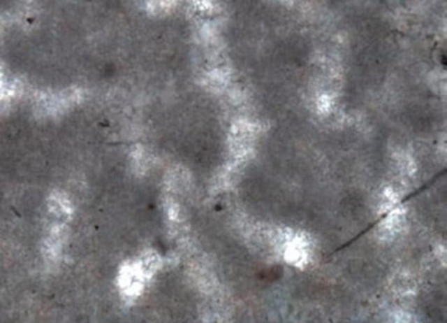 Kanada'da 890 milyon yıllık dev keşif! Dünyanın en eski hayvan fosili bulundu - Resim: 1