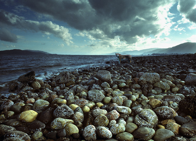 Onlar mahşerde nasıl hesap verecek? - Resim: 3