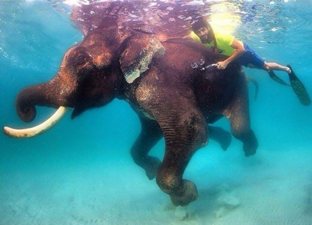 O dünyanın en gözde bekarı! Bakın servetini nasıl harcıyor - Resim: 2