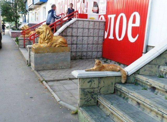 Günün en çılgın fotoğrafları! - Resim: 2