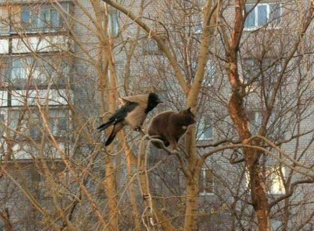 Günün en çok paylaşılan 60 fotoğrafı - Resim: 2