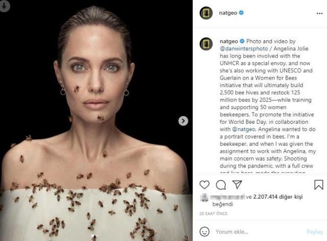 Angelina Jolie 18 dakika boyunca kıpırdamadan arılarla poz verdi sebebi ise bakın ne - Resim: 3