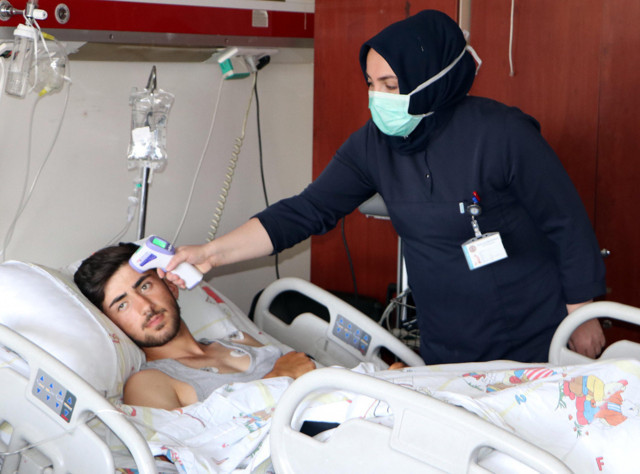 Bingöl'de hayvan otlatırken engerek soktu panzehirle yaşama tutundu - Resim: 1