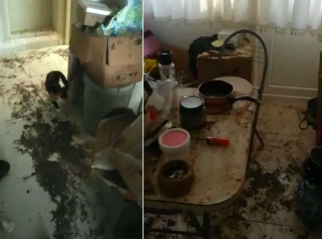 6 aydır kira alamadığını evine baskın yaptı! Gördükleri şok etti - Resim: 1