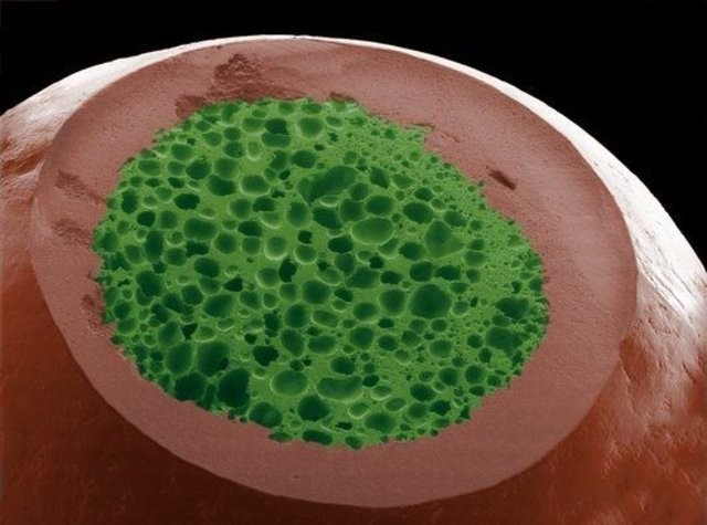 Bu taşların ne olduğunu ögrenince çok şaşıracaksınız! - Resim: 1