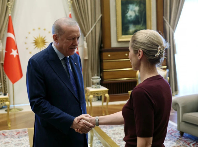 NATO zirvesi öncesi Cumhurbaşkanı Erdoğan AB Heyeti ile bir araya geldi - Resim: 0