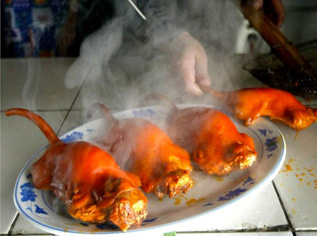 Vahşi hayvan pazarlarındaki farelerde farklı koronavirüs türleri bulundu - Resim: 0