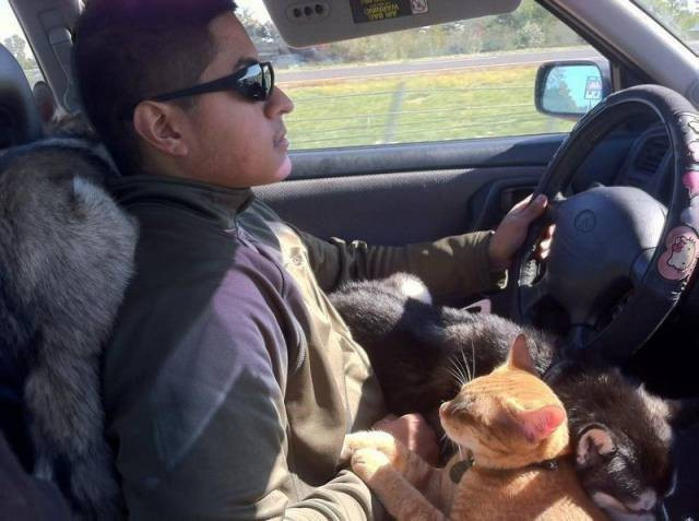 Pazartesiye özel 50 fotoğraf - Resim: 1