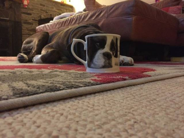 Günün en çok beğenilen fotoğrafları - Resim: 1